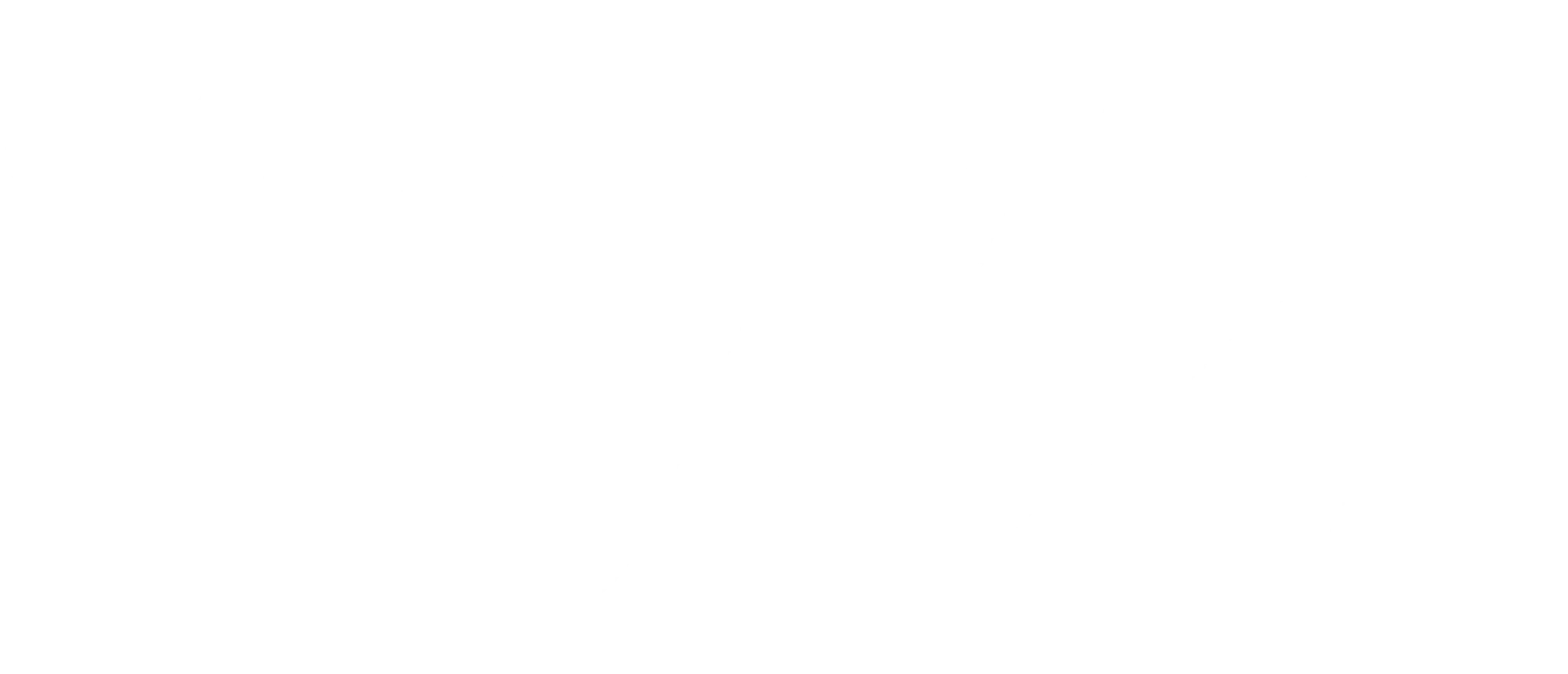 Fahrschule Next